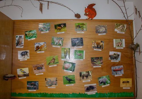 Des images d'animaux et des dessins accrochés sur un mur dans une salle