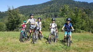 VTT