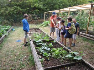 La visite du potager