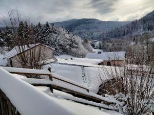 Spécial Hiver (Novembre – Février)