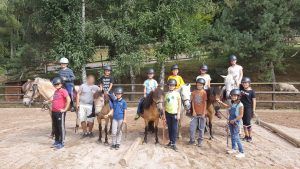 Poney