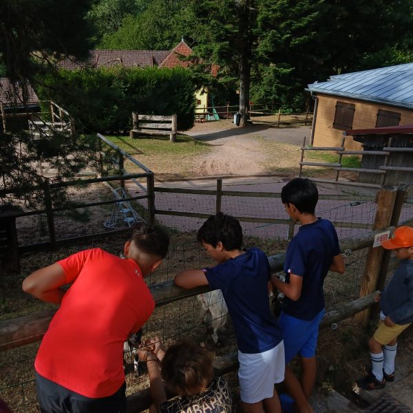 PHOTO-2026-07-08-17-31-34