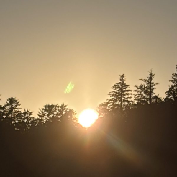IMG-20260812-WA0022