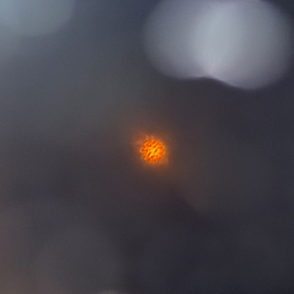 IMG-20260812-WA0023